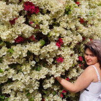 фото из отзыва ID 476660