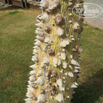 фото из отзыва ID 479901
