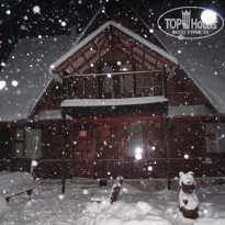 фото из отзыва ID 479588