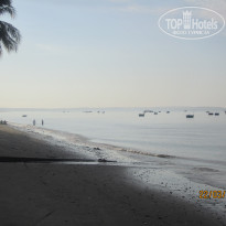 фото из отзыва ID 482995