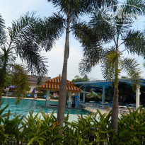 фото из отзыва ID 484182