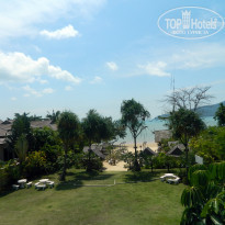 фото из отзыва ID 484183