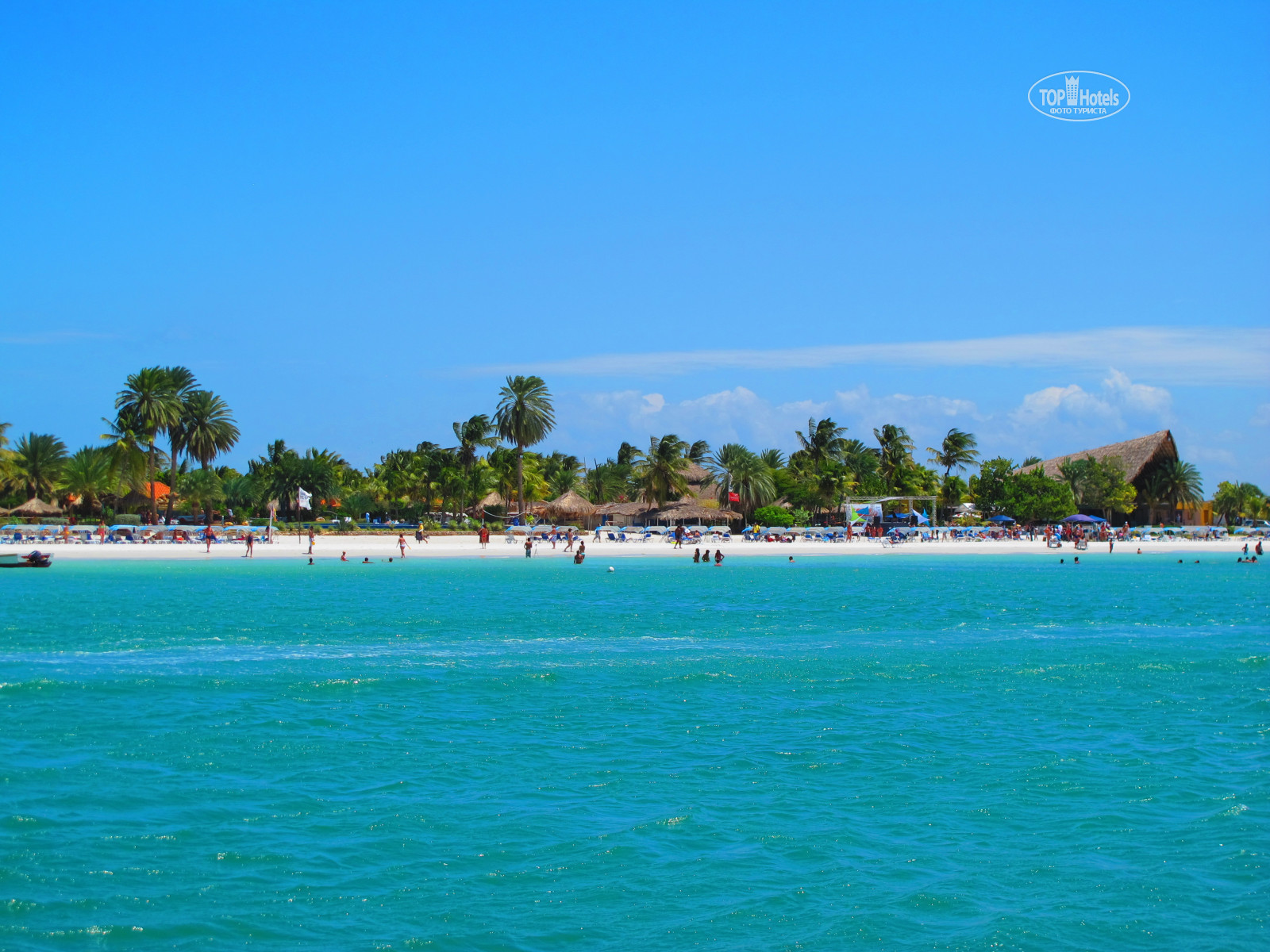 Paradise beach coche венесуэла. Венесуэла остров Коче отели. Coche Island Венесуэла. Isla Caribe Beach 4*. Остров Коче.