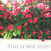 фото из отзыва ID 490494