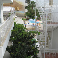 фото из отзыва ID 500190