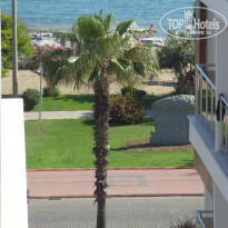 фото из отзыва ID 510949