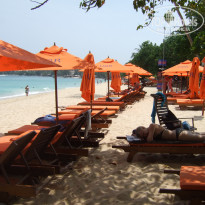 фото из отзыва ID 514136