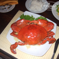 фото из отзыва ID 514136