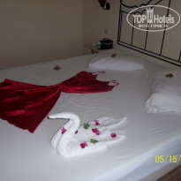 фото из отзыва ID 514831