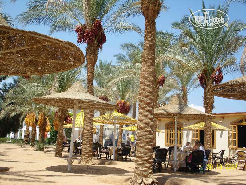 Египет шарм-эль-шейх дессоле сети шарм. Египет шарм эль шейх туры сети шарм. Fun&sun smart seti) 4*. Seti sharm resort (ex. Шарм-эль-шейх отель сети шарм 4.