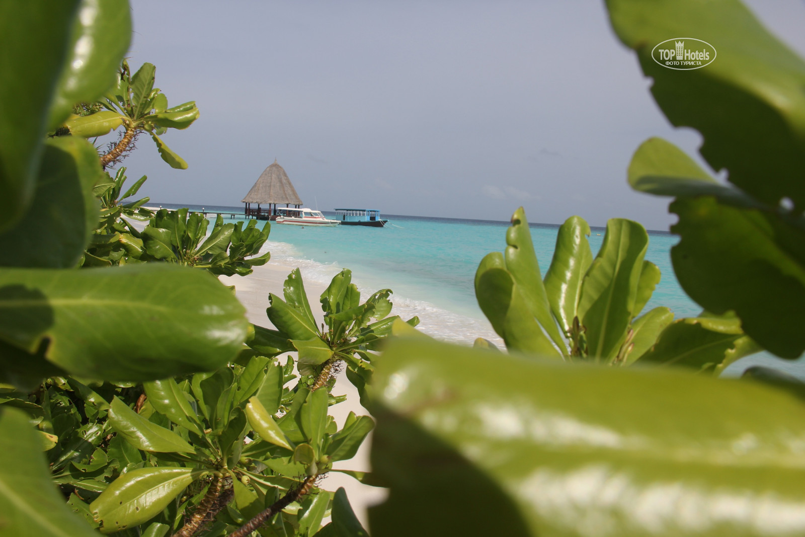 Angaga Island Resort Spa 4