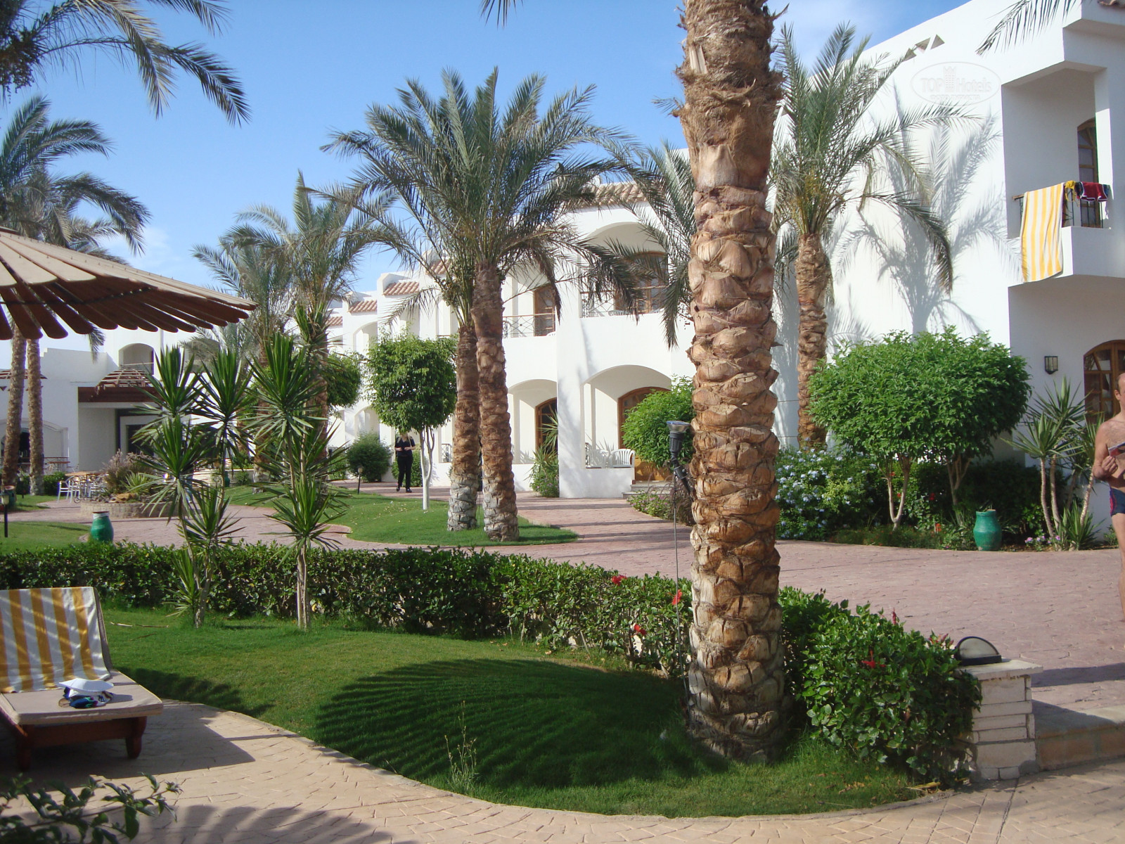 Coral hills resort. Coral hills resort 4* фото. Coral hills 4 шарм-эль-шейх. Coral hills resort. отель coral hills resort 4*.