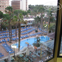 фото из отзыва ID 528281