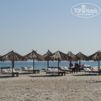 фото из отзыва ID 532843