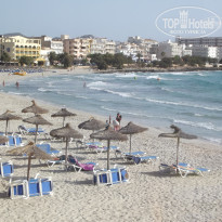 фото из отзыва ID 545083