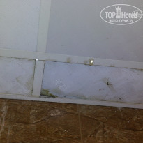 фото из отзыва ID 551690