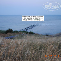 фото из отзыва ID 554196