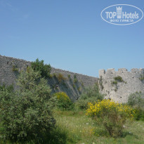 фото из отзыва ID 555993