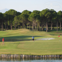 фото из отзыва ID 556308