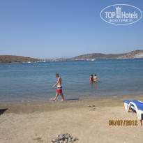 фото из отзыва ID 563880