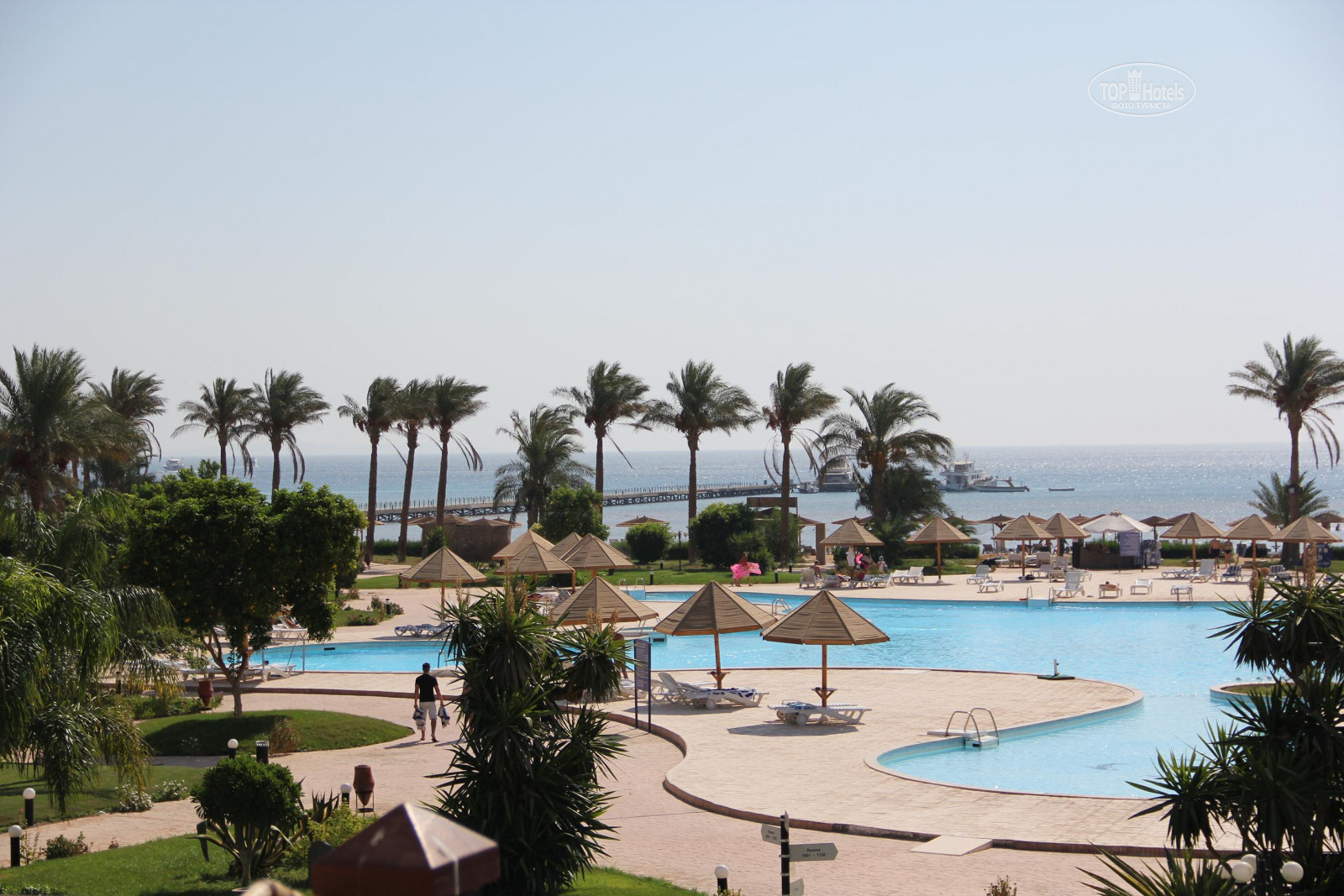 Alma bay. Protels Grand Seas Resort. Protels Grand Seas Resort Hurghada. Protels Grand Seas Resort (ex. Hostmark) 4*. Санрайз Альма Бэй Резорт.