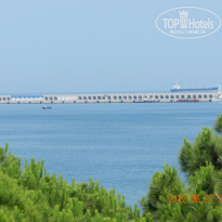 фото из отзыва ID 565763