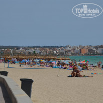 фото из отзыва ID 568446