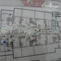 фото из отзыва ID 585818