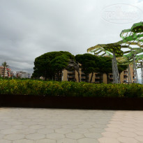 фото из отзыва ID 585818