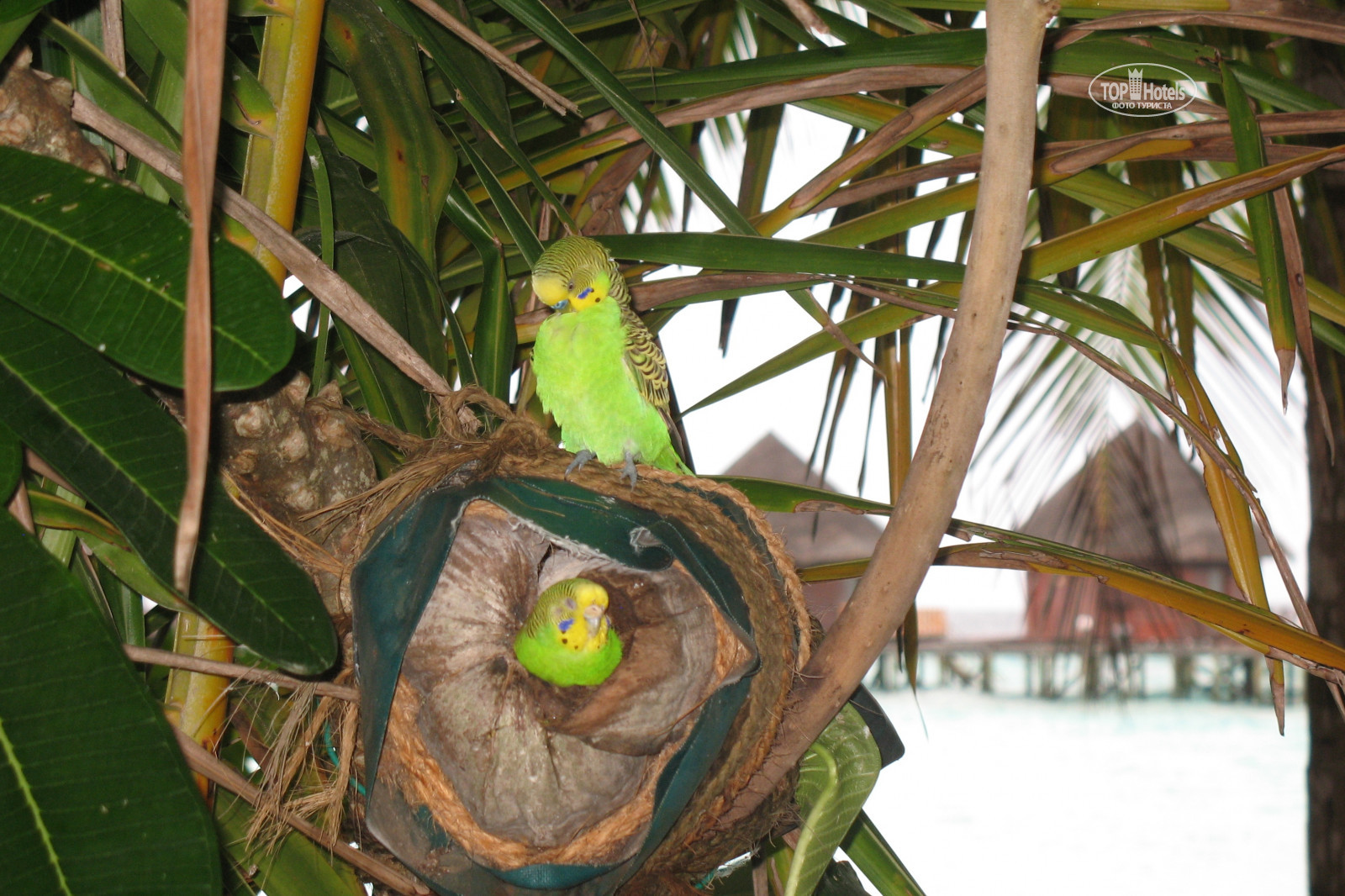 Thulhagiri Island Resort 4