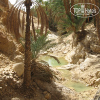 фото из отзыва ID 594191