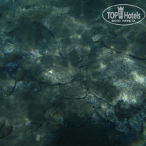 фото из отзыва ID 597936