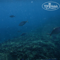 фото из отзыва ID 597936