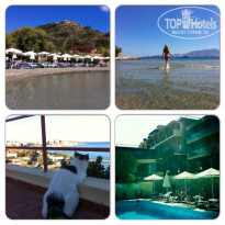 фото из отзыва ID 600240