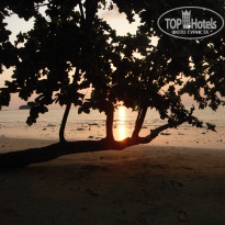 фото из отзыва ID 602655