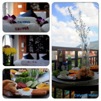 фото из отзыва ID 635893