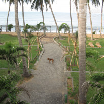 фото из отзыва ID 638887