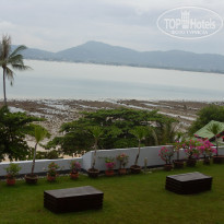 фото из отзыва ID 639854