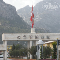 фото из отзыва ID 644516