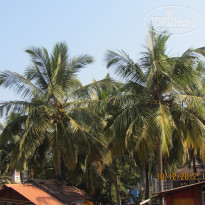 фото из отзыва ID 646479