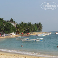 фото из отзыва ID 648690