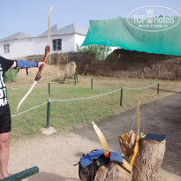 фото из отзыва ID 652233