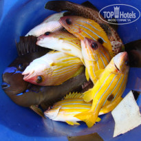 фото из отзыва ID 652585