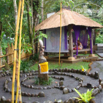 фото из отзыва ID 652585