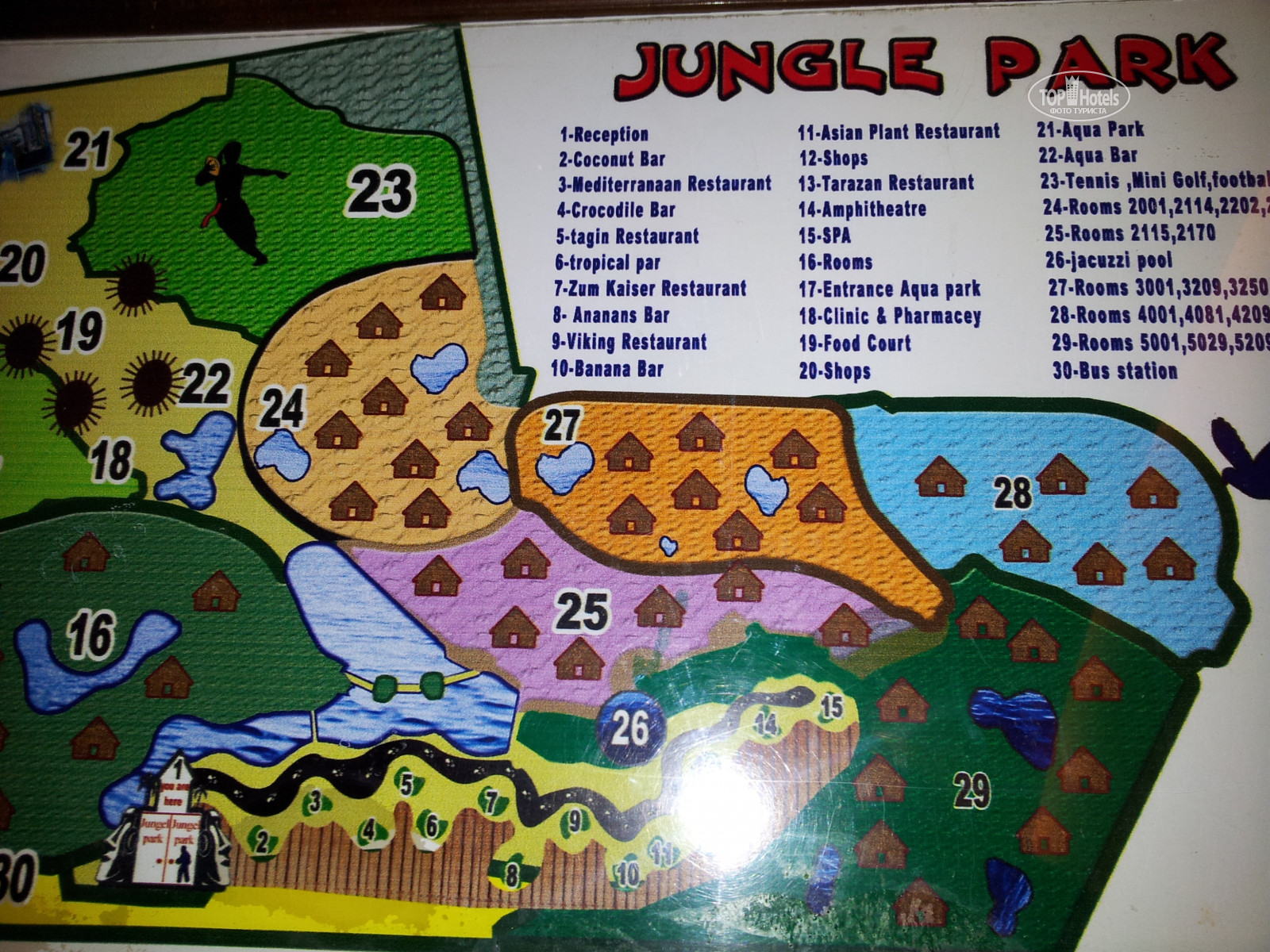 Jungle park neverland