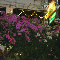 фото из отзыва ID 654662