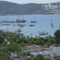 фото из отзыва ID 656842