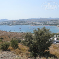 фото из отзыва ID 656842