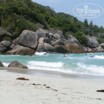 фото из отзыва ID 65851