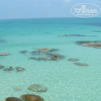 фото из отзыва ID 65852